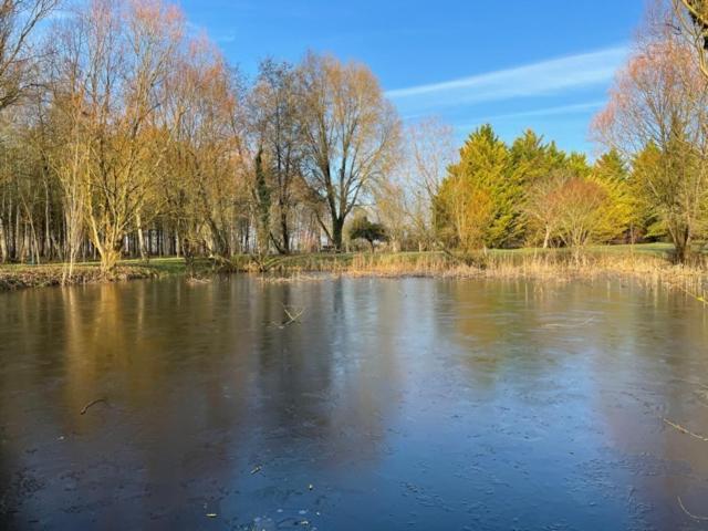 La Marelle Bed & Breakfast Avrille-les-Ponceaux Bagian luar foto