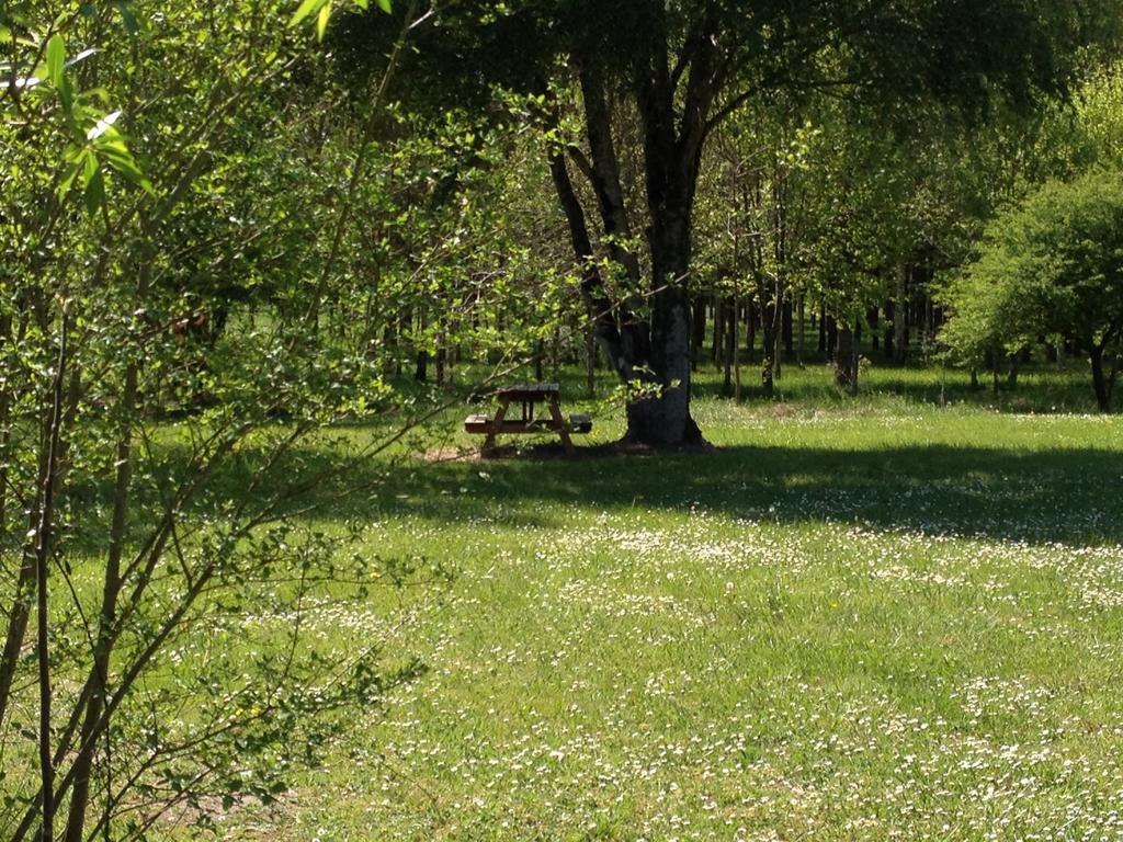 La Marelle Bed & Breakfast Avrille-les-Ponceaux Ruang foto