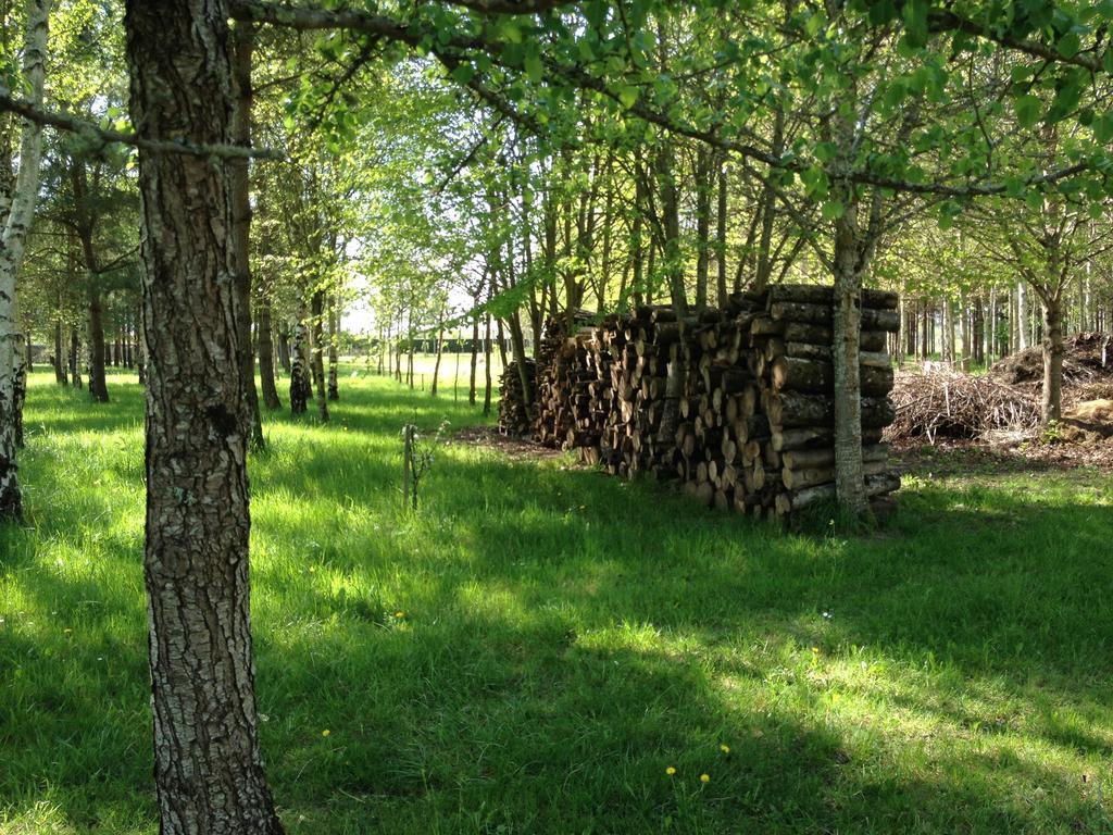 La Marelle Bed & Breakfast Avrille-les-Ponceaux Ruang foto