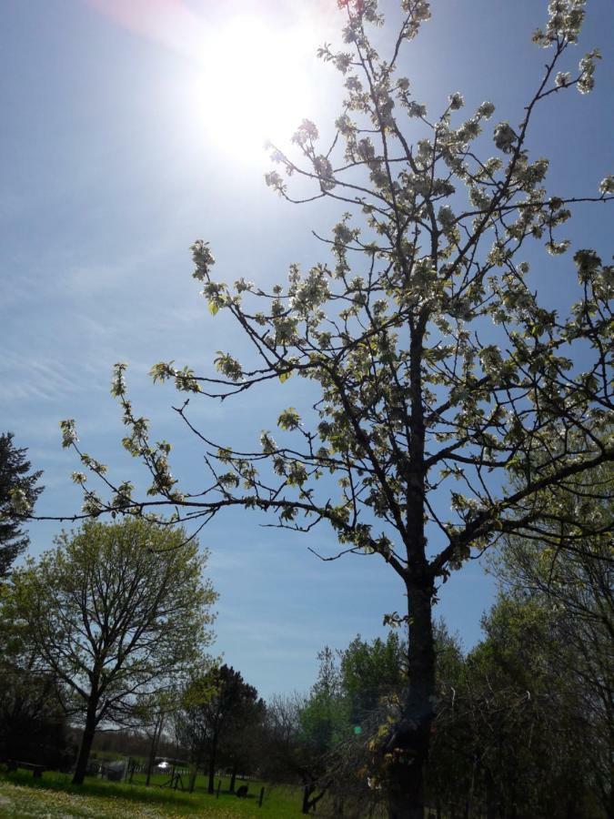 La Marelle Bed & Breakfast Avrille-les-Ponceaux Bagian luar foto