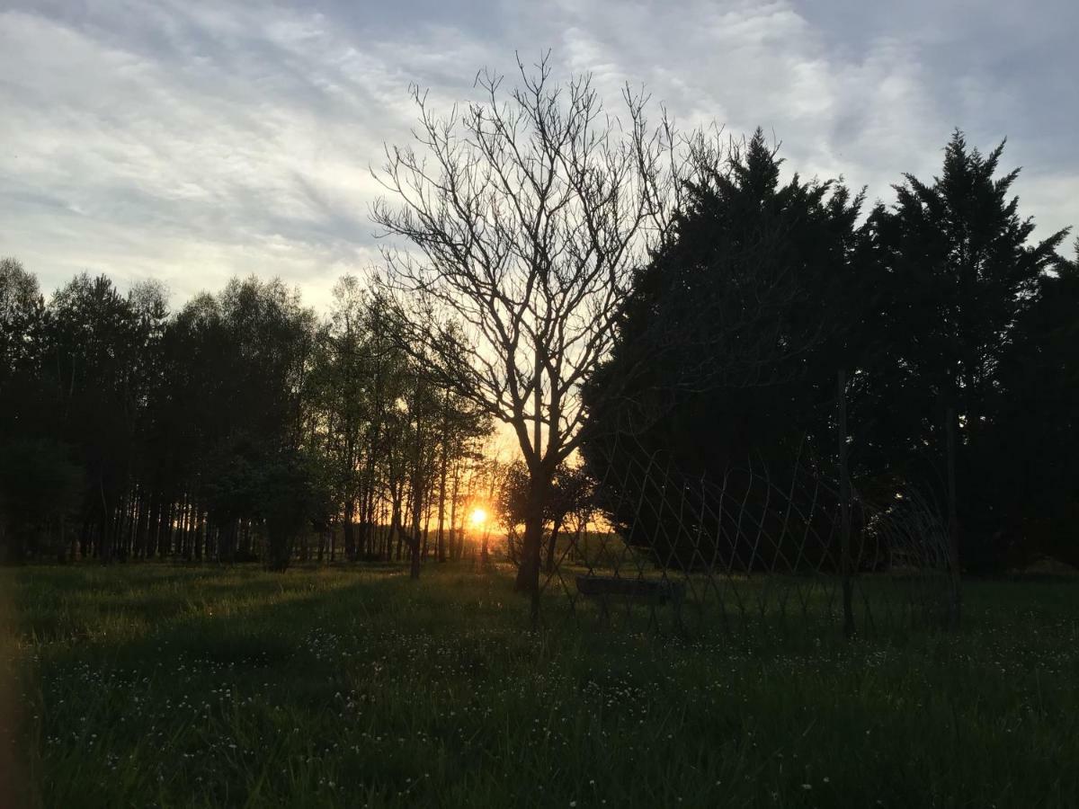 La Marelle Bed & Breakfast Avrille-les-Ponceaux Bagian luar foto