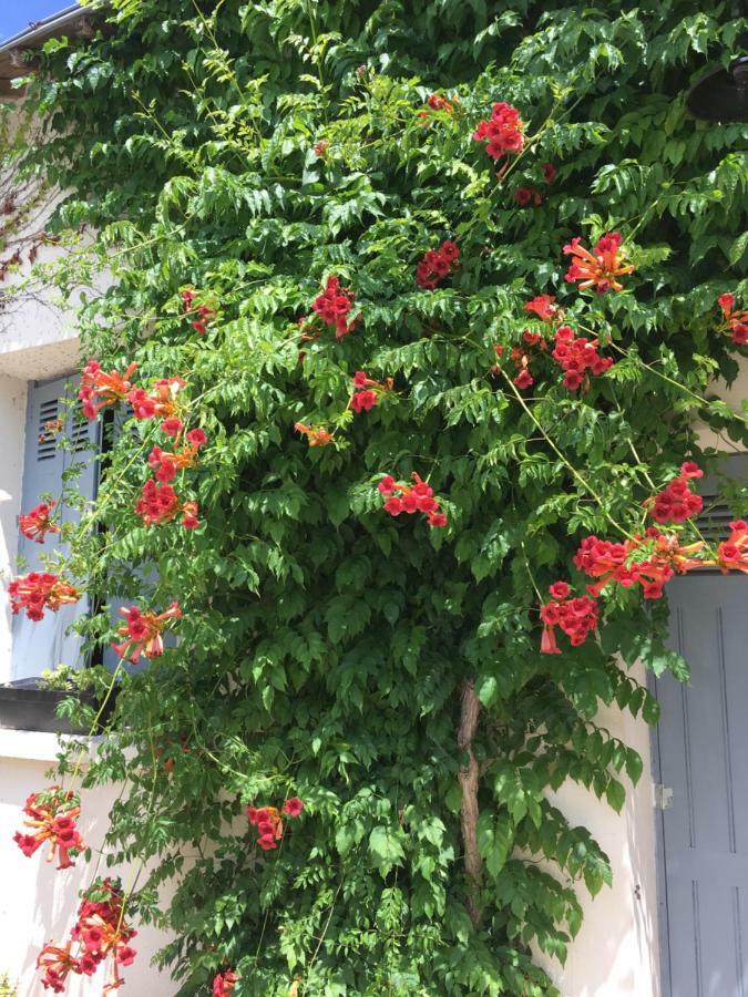 La Marelle Bed & Breakfast Avrille-les-Ponceaux Bagian luar foto